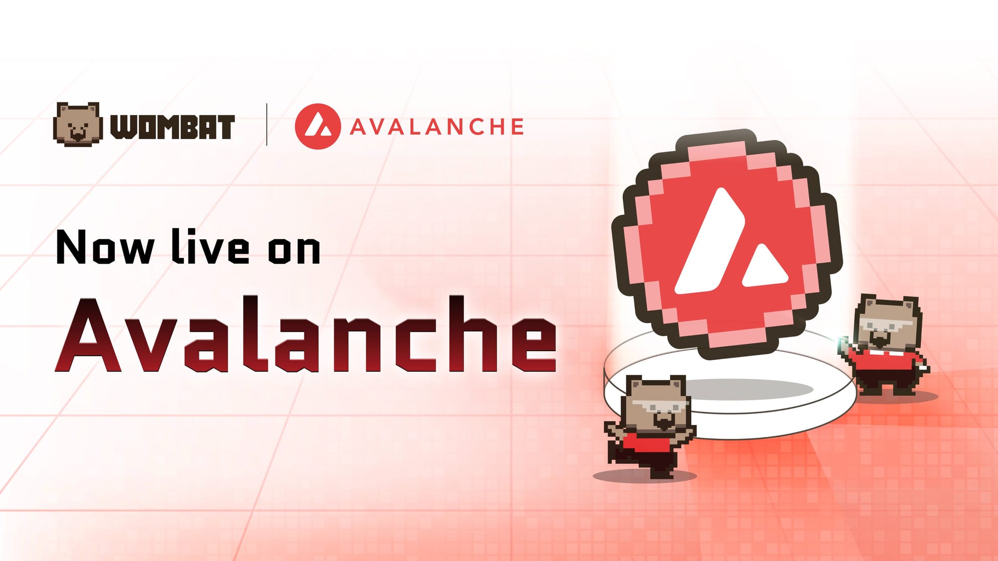 Wombat - Avalanche Launch Announcement